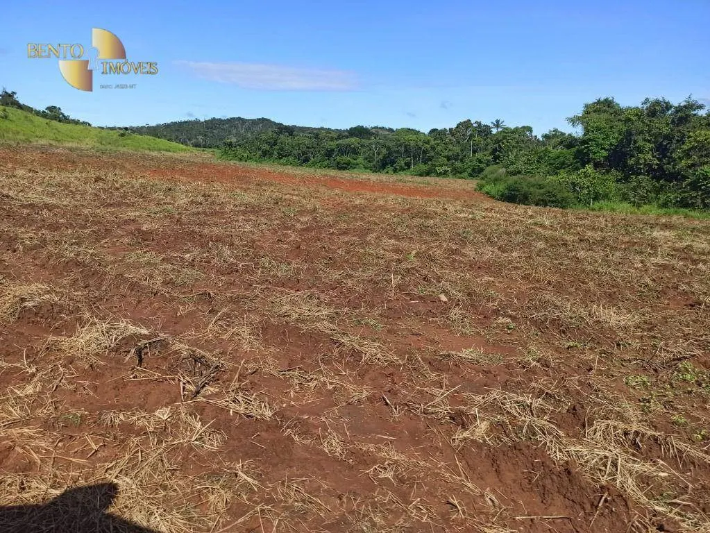 Fazenda à venda de 3.650 ha em Guarantã do Norte, MT, Brasil