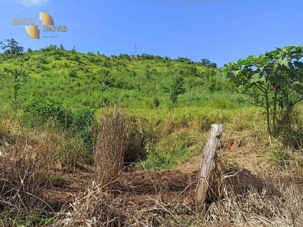 Fazenda à venda de 3.650 ha em Guarantã do Norte, MT, Brasil