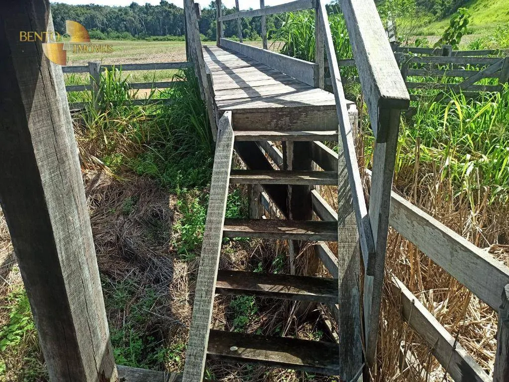 Fazenda à venda de 3.650 ha em Guarantã do Norte, MT, Brasil