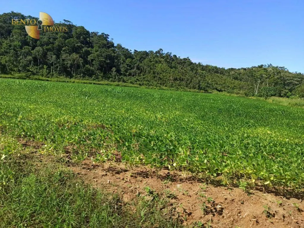 Fazenda à venda de 3.650 ha em Guarantã do Norte, MT, Brasil