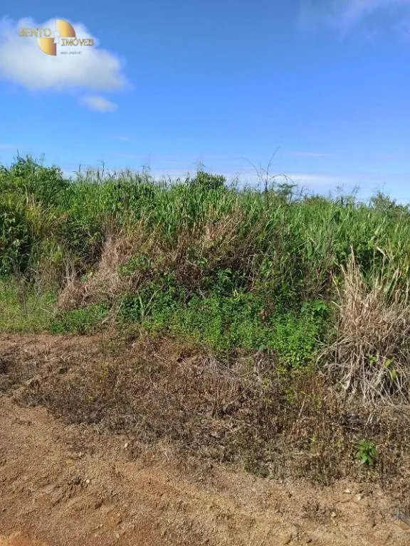 Fazenda à venda de 3.650 ha em Guarantã do Norte, MT, Brasil