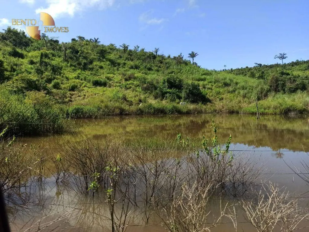 Fazenda à venda de 3.650 ha em Guarantã do Norte, MT, Brasil