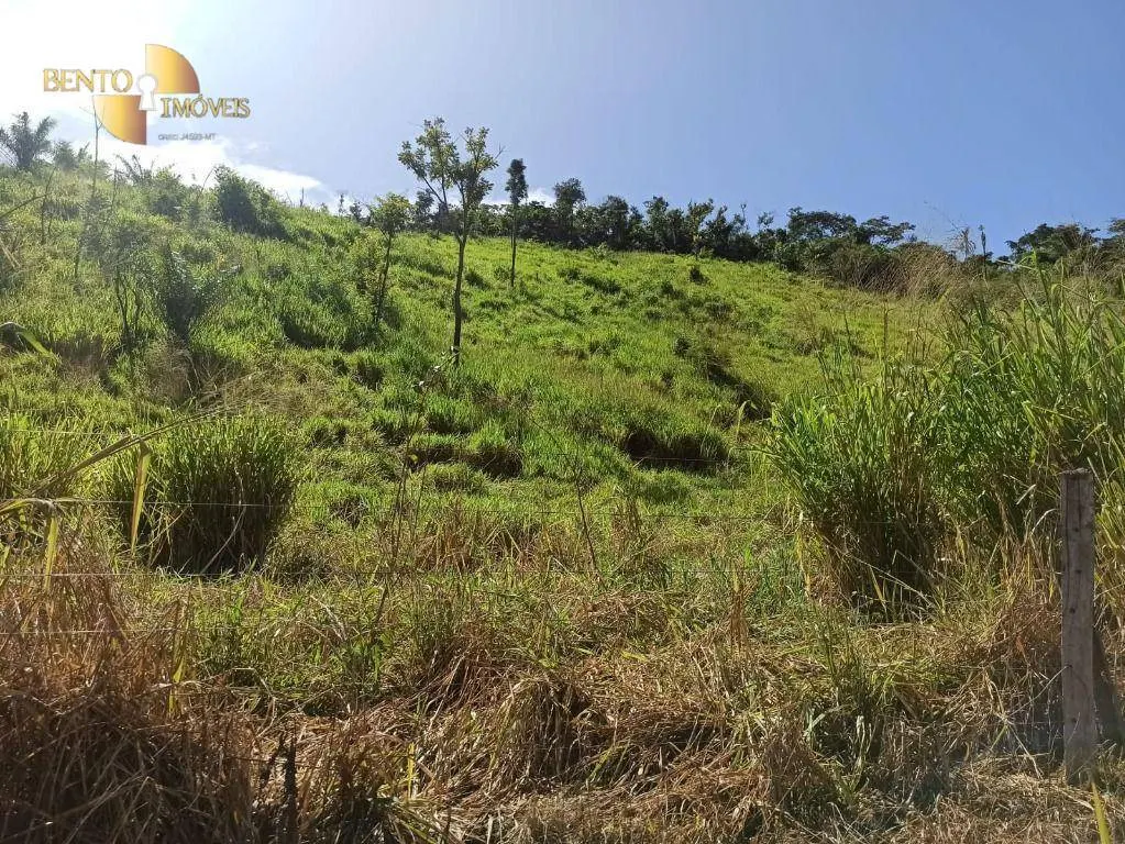 Fazenda à venda de 3.650 ha em Guarantã do Norte, MT, Brasil