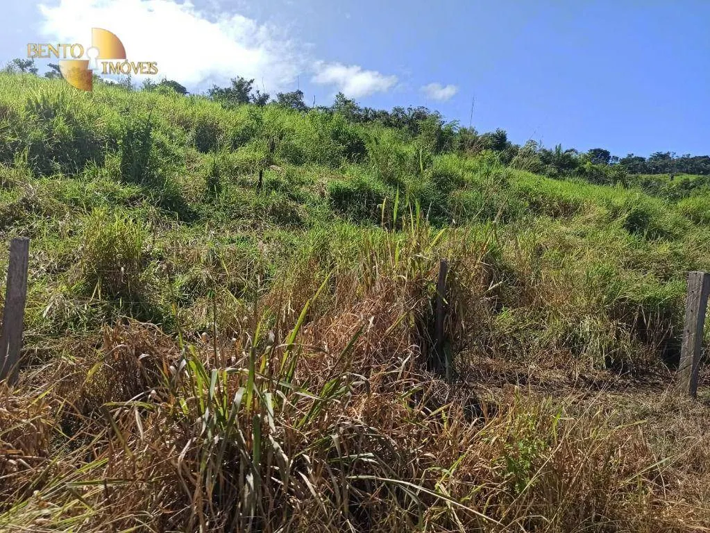 Fazenda à venda de 3.650 ha em Guarantã do Norte, MT, Brasil