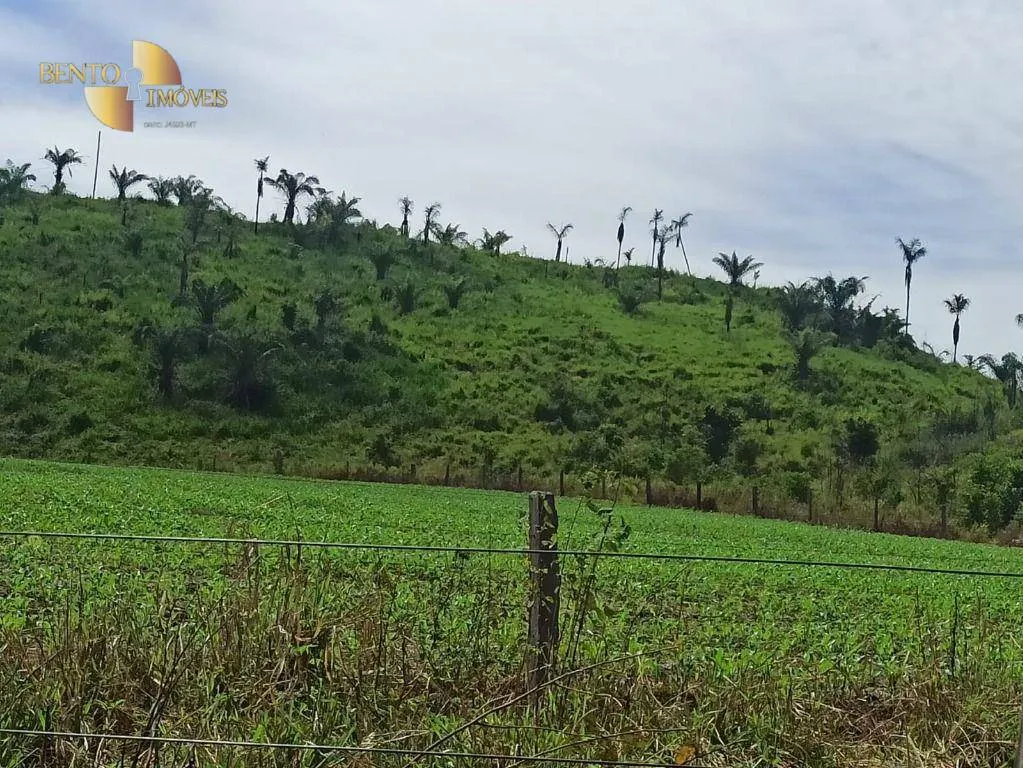 Fazenda à venda de 3.650 ha em Guarantã do Norte, MT, Brasil