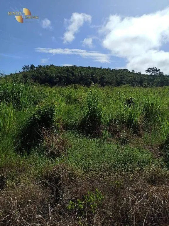 Fazenda à venda de 3.650 ha em Guarantã do Norte, MT, Brasil