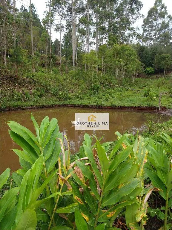 Small farm for sale of 5 acres in São Luiz do Paraitinga, SP, Brazil