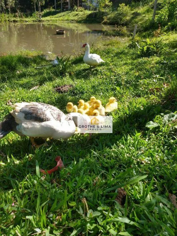Small farm for sale of 5 acres in São Luiz do Paraitinga, SP, Brazil