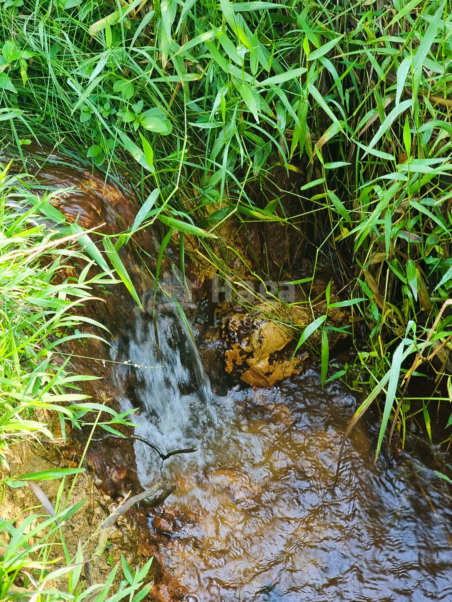 Chácara à venda de 4.000 m² em Barra Velha, SC, Brasil