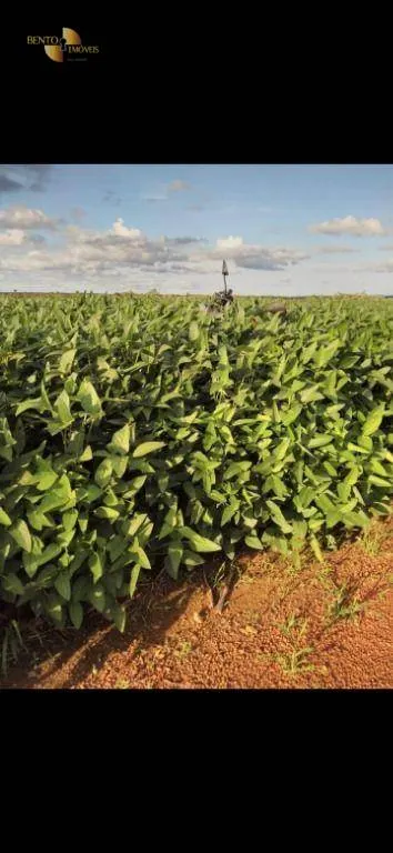 Fazenda à venda de 3.700 ha em Água Boa, MT, Brasil