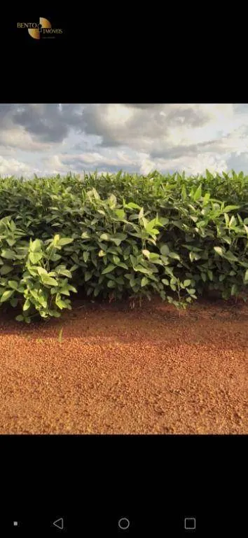 Fazenda à venda de 3.700 ha em Água Boa, MT, Brasil