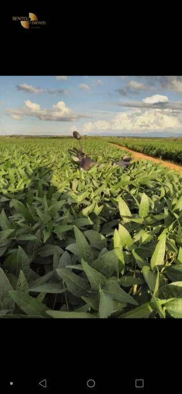 Fazenda à venda de 3.700 ha em Água Boa, MT, Brasil