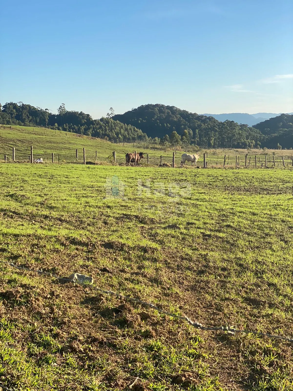 Fazenda à venda de 786 ha em Timbó, SC, Brasil