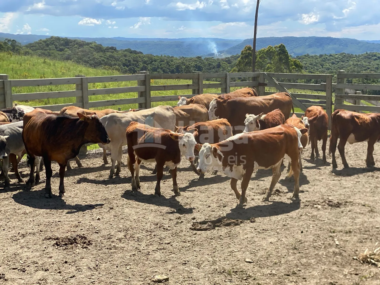 Fazenda à venda de 786 ha em Timbó, SC, Brasil