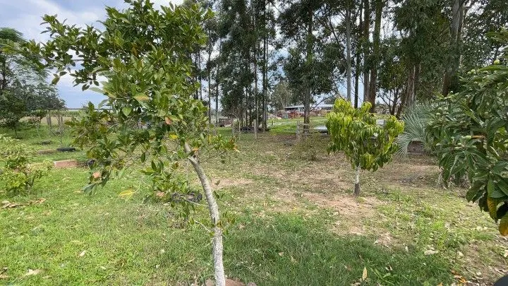 Chácara à venda de 6.800 m² em Santo Antônio da Patrulha, RS, Brasil