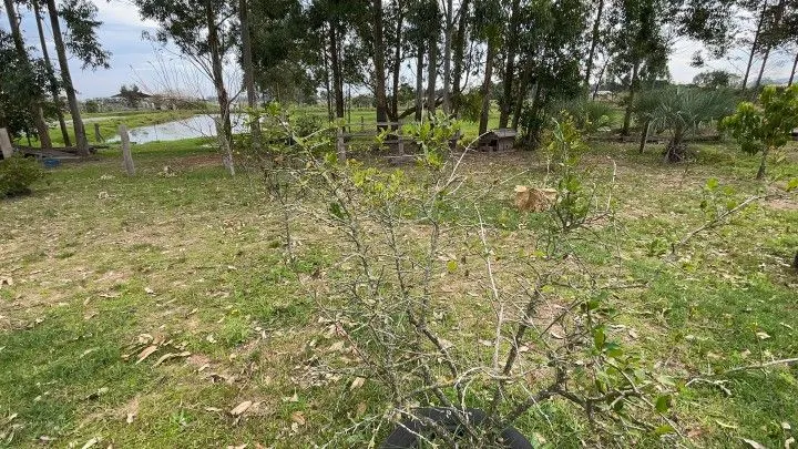 Chácara à venda de 6.800 m² em Santo Antônio da Patrulha, RS, Brasil