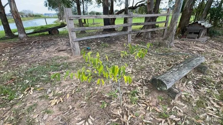 Chácara à venda de 6.800 m² em Santo Antônio da Patrulha, RS, Brasil