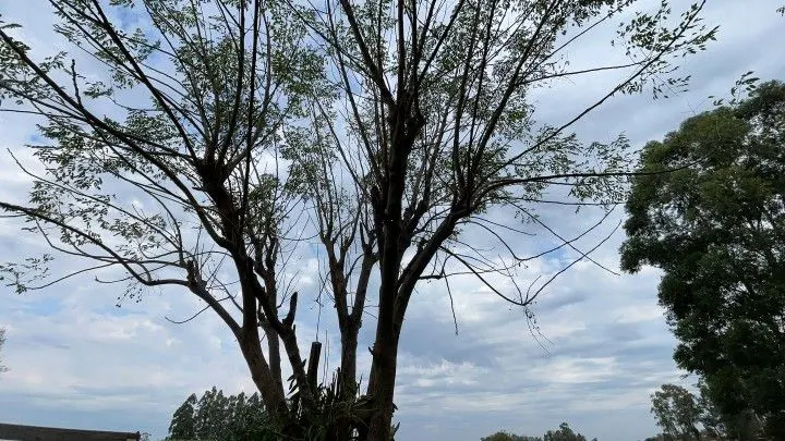 Chácara à venda de 6.800 m² em Santo Antônio da Patrulha, RS, Brasil