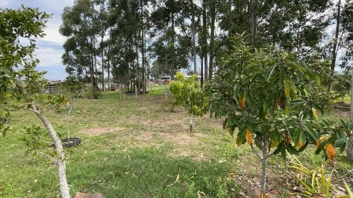 Chácara à venda de 6.800 m² em Santo Antônio da Patrulha, RS, Brasil