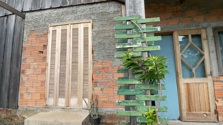 Chácara à venda de 6.800 m² em Santo Antônio da Patrulha, RS, Brasil