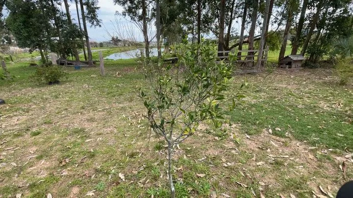 Chácara à venda de 6.800 m² em Santo Antônio da Patrulha, RS, Brasil