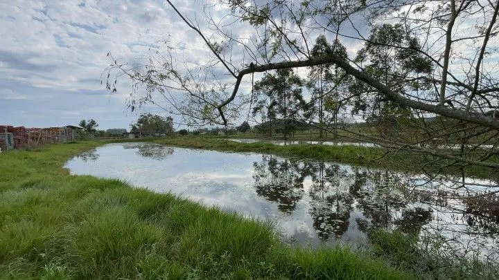 Chácara à venda de 6.800 m² em Santo Antônio da Patrulha, RS, Brasil