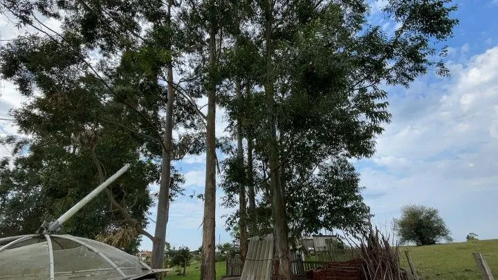 Chácara à venda de 6.800 m² em Santo Antônio da Patrulha, RS, Brasil