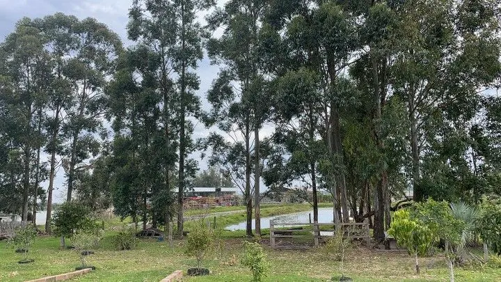 Chácara à venda de 6.800 m² em Santo Antônio da Patrulha, RS, Brasil