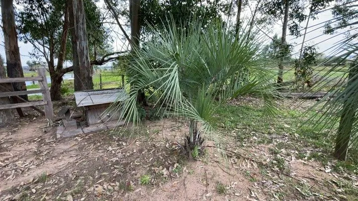 Chácara à venda de 6.800 m² em Santo Antônio da Patrulha, RS, Brasil