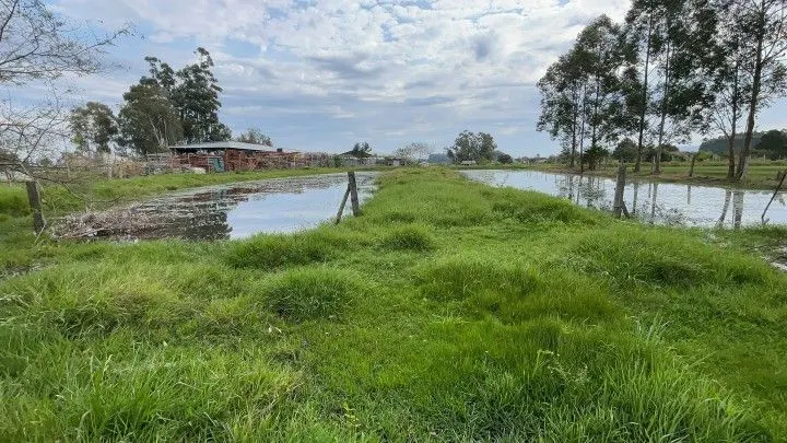Chácara à venda de 6.800 m² em Santo Antônio da Patrulha, RS, Brasil