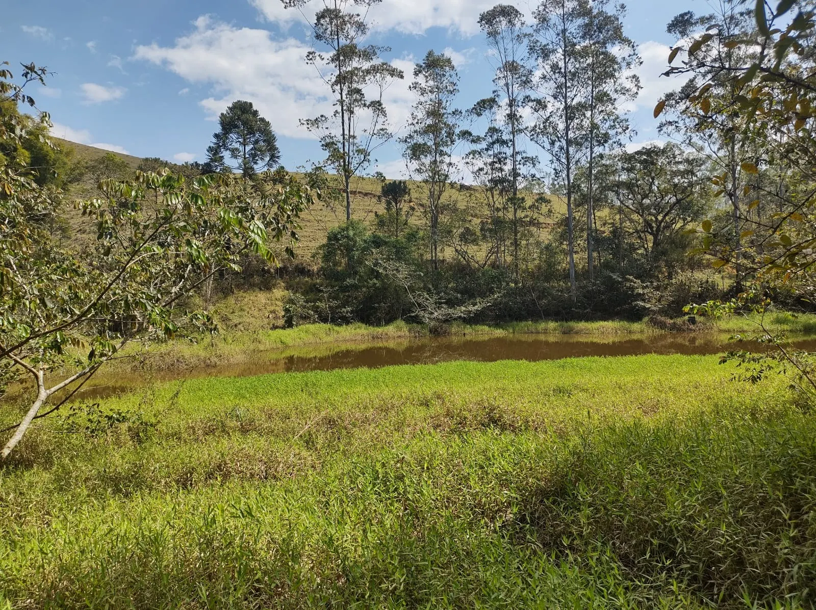 Sítio à venda de 39 ha em São José dos Campos, SP, Brasil