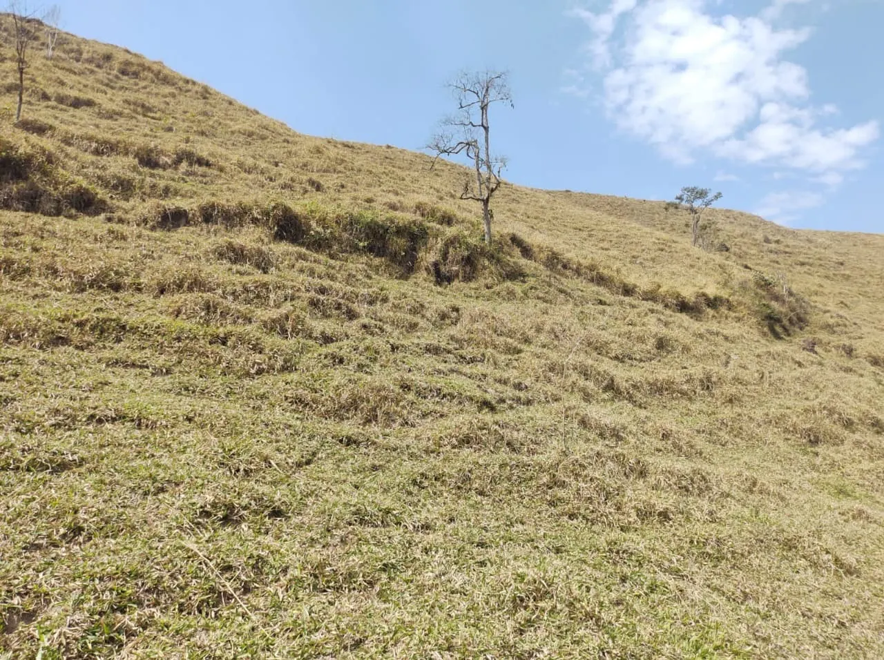 Sítio à venda de 39 ha em São José dos Campos, SP, Brasil