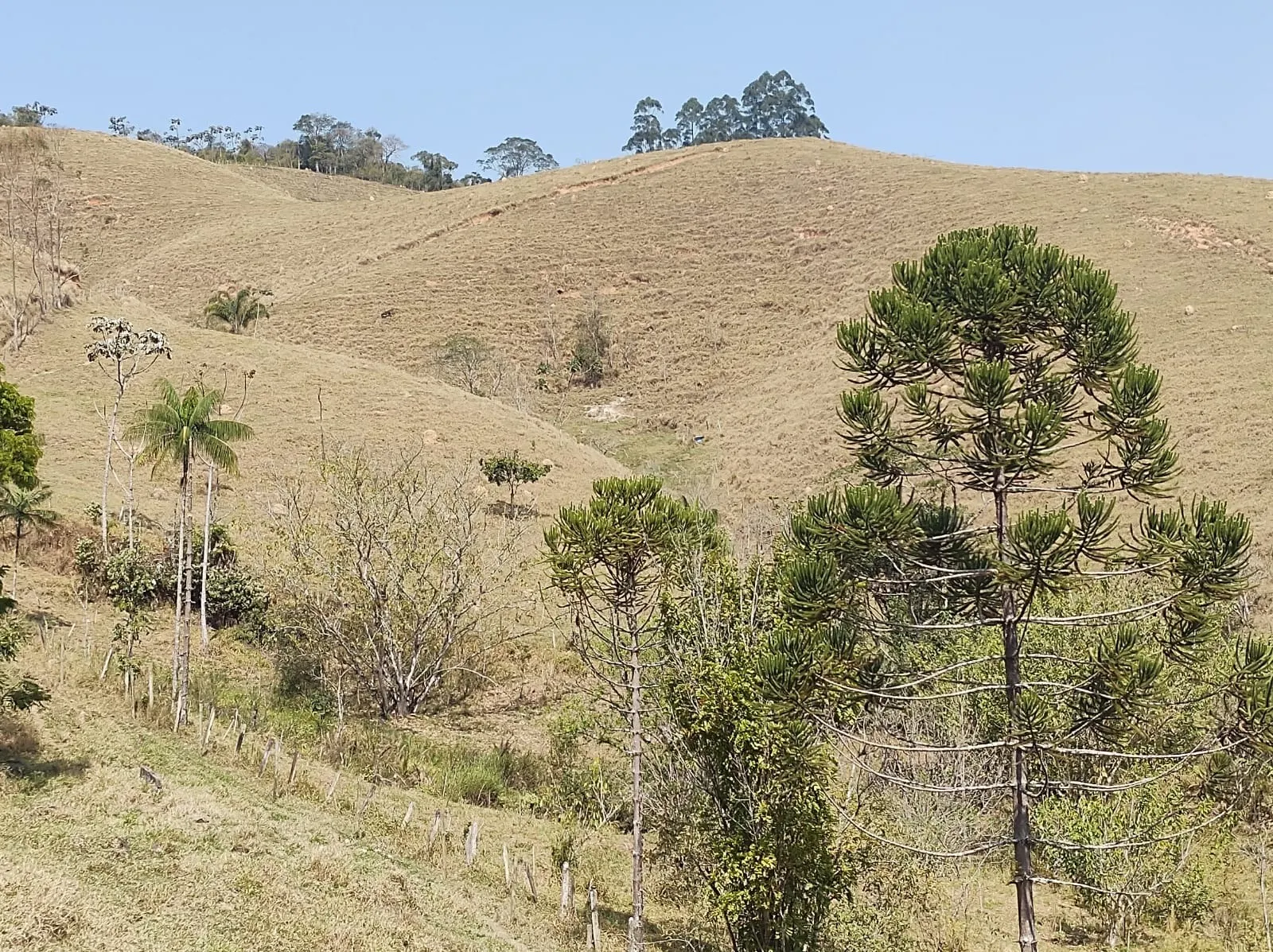 Sítio à venda de 39 ha em São José dos Campos, SP, Brasil