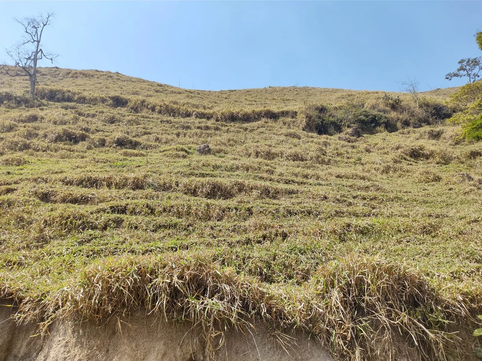 Sítio à venda de 39 ha em São José dos Campos, SP, Brasil