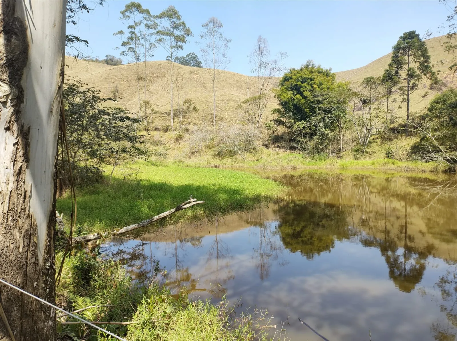 Sítio à venda de 39 ha em São José dos Campos, SP, Brasil