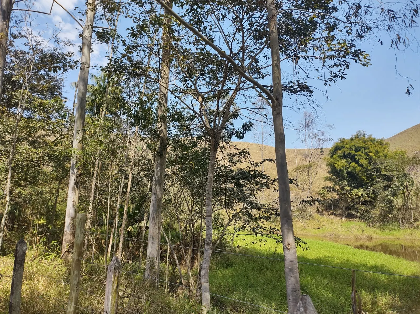Sítio à venda de 39 ha em São José dos Campos, SP, Brasil