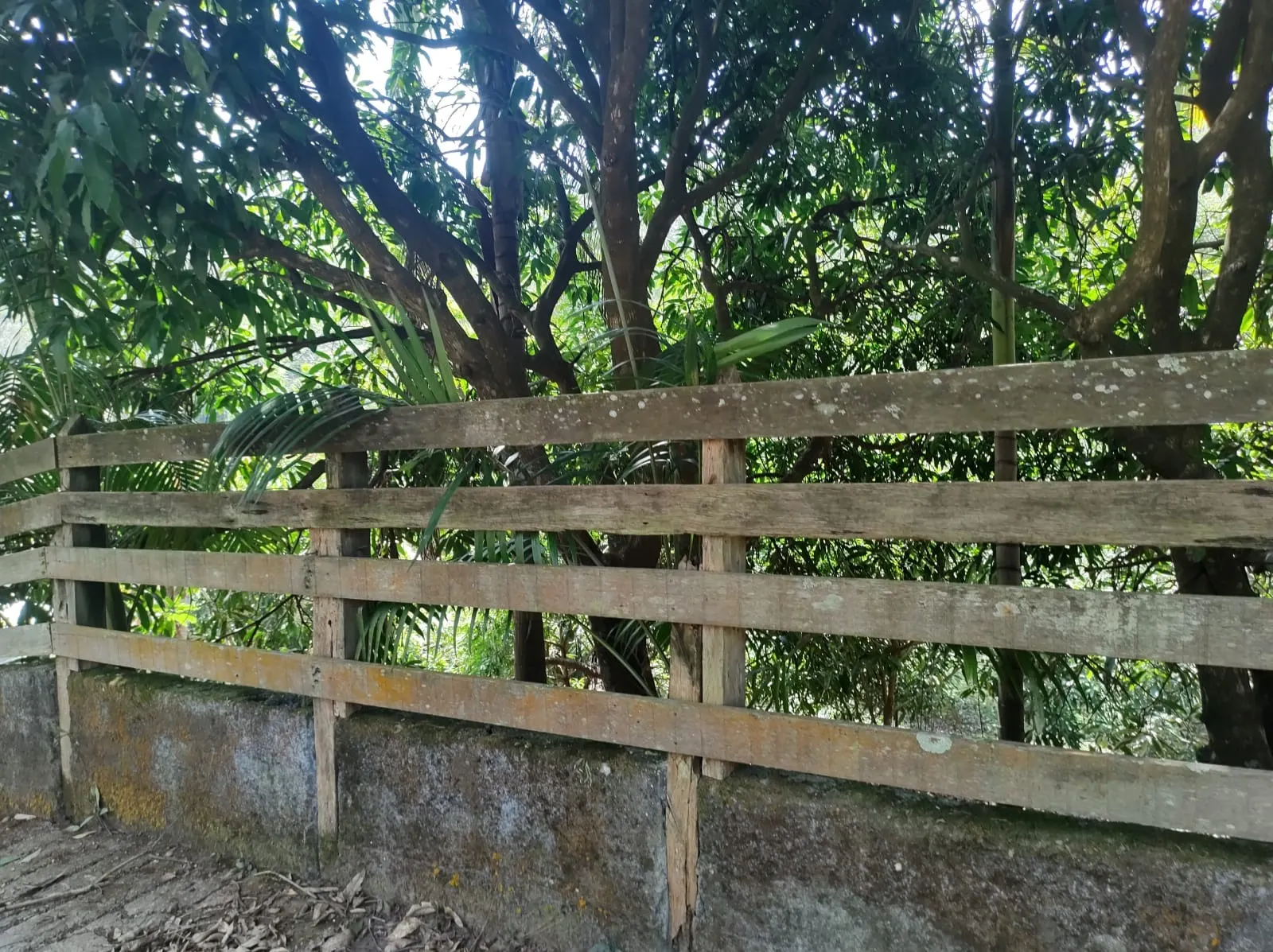 Sítio à venda de 39 ha em São José dos Campos, SP, Brasil
