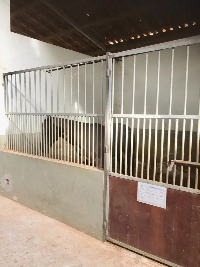 Haras à venda de 10 ha em Caçapava, SP, Brasil