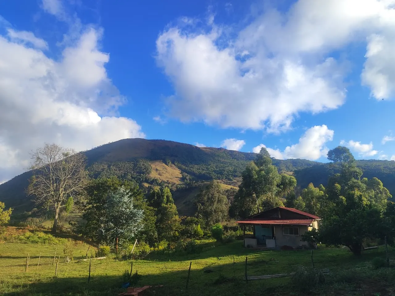 Small farm for sale of 54 acres in Alagoa, MG, Brazil
