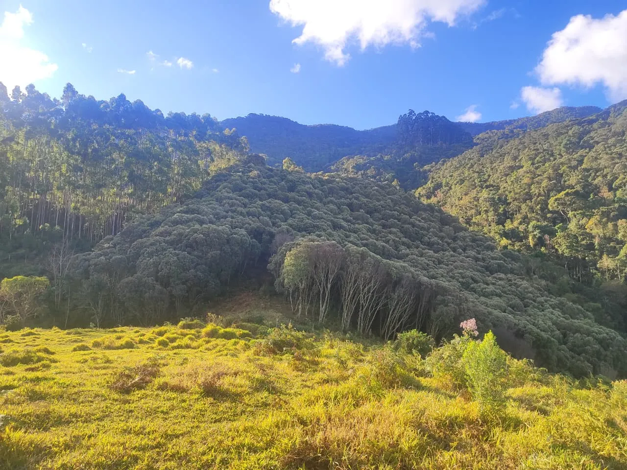 Small farm for sale of 54 acres in Alagoa, MG, Brazil