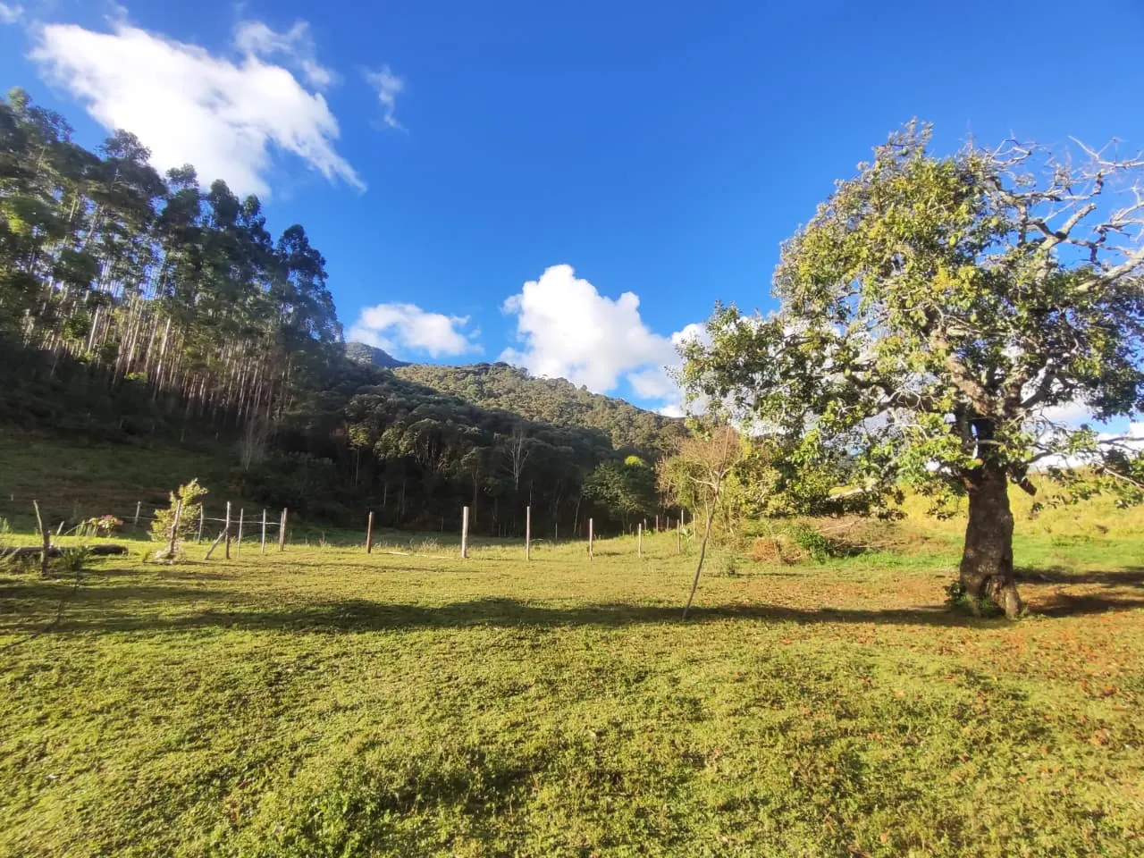 Small farm for sale of 54 acres in Alagoa, MG, Brazil