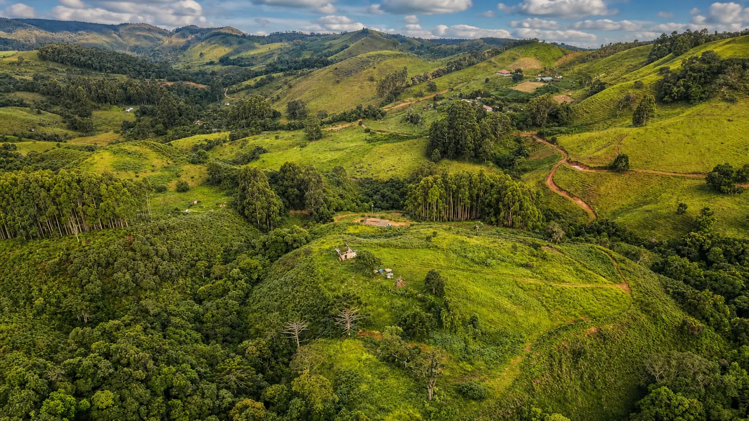 Sítio à venda de 22 ha em Alagoa, MG, Brasil