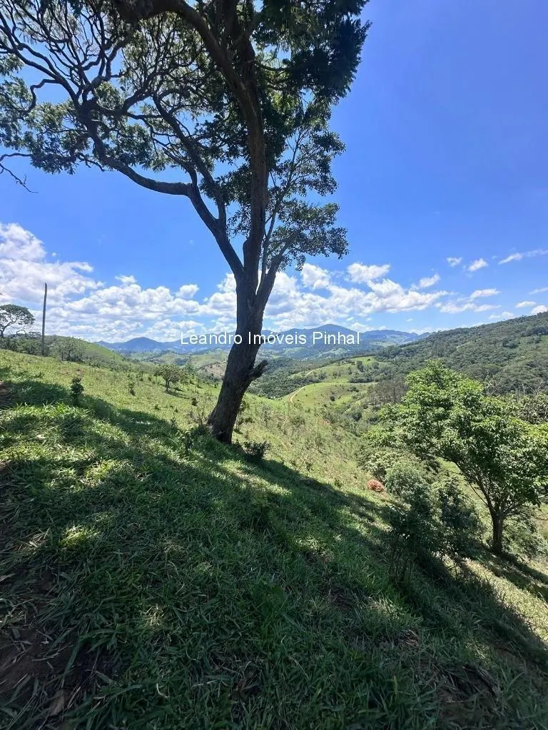 Sítio à venda de 5 ha em Santo Antônio do Pinhal, SP, Brasil