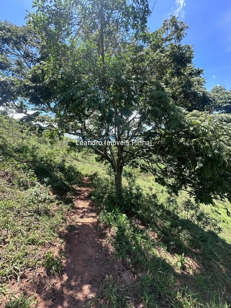 Sítio à venda de 5 ha em Santo Antônio do Pinhal, SP, Brasil