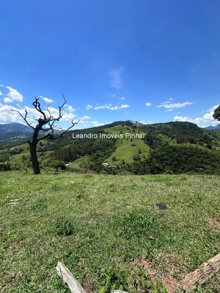 Sítio à venda de 5 ha em Santo Antônio do Pinhal, SP, Brasil