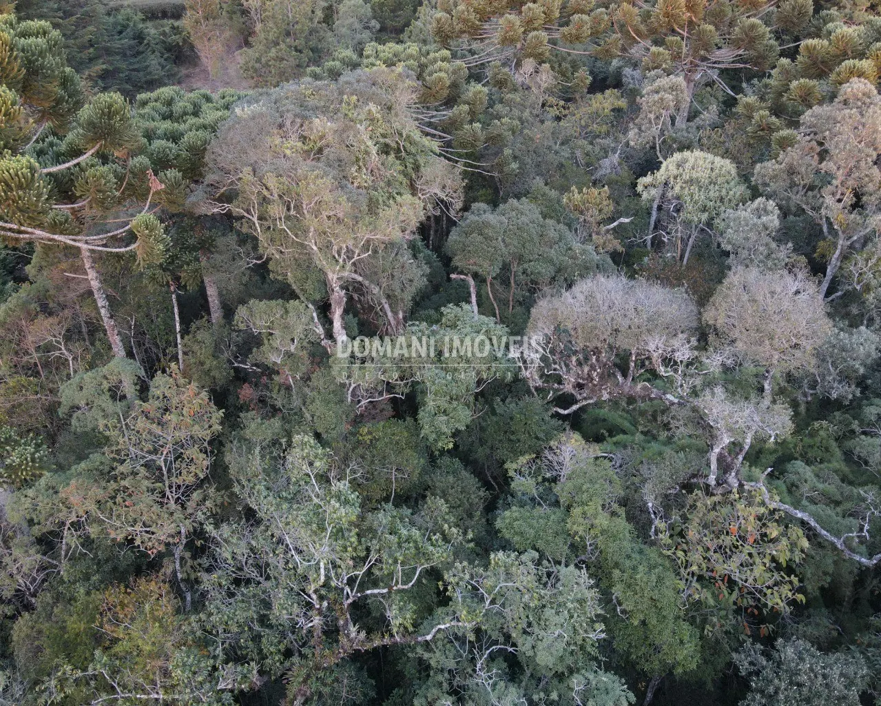 Terreno à venda de 1.780 m² em Campos do Jordão, SP, Brasil