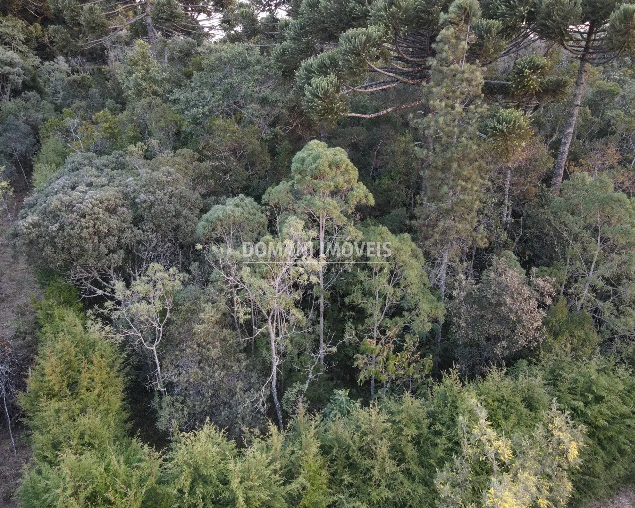 Terreno à venda de 1.780 m² em Campos do Jordão, SP, Brasil