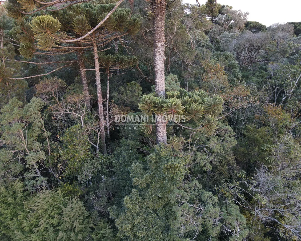 Terreno à venda de 1.780 m² em Campos do Jordão, SP, Brasil