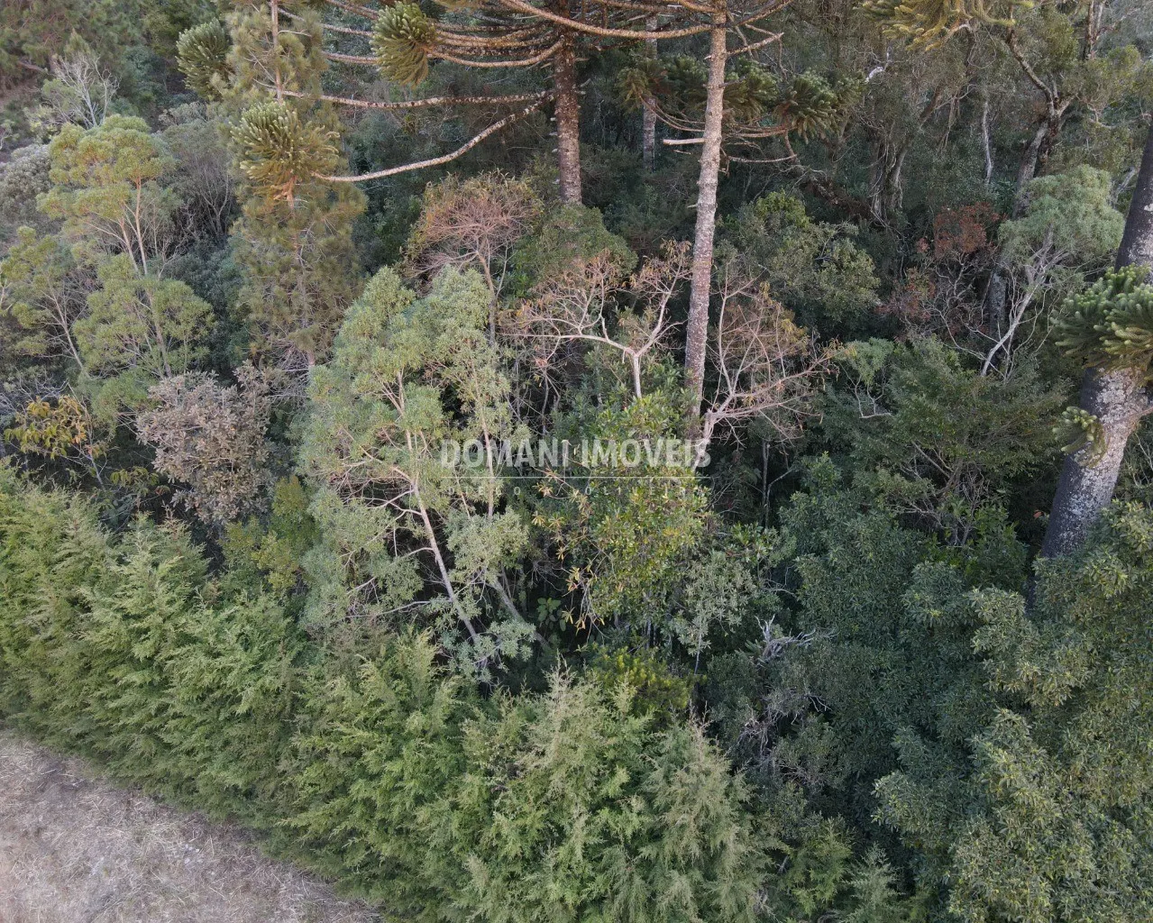 Terreno à venda de 1.780 m² em Campos do Jordão, SP, Brasil