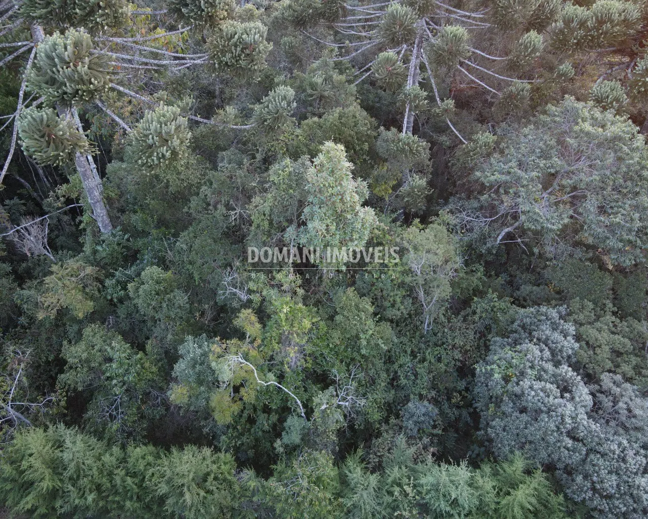 Terreno à venda de 1.780 m² em Campos do Jordão, SP, Brasil